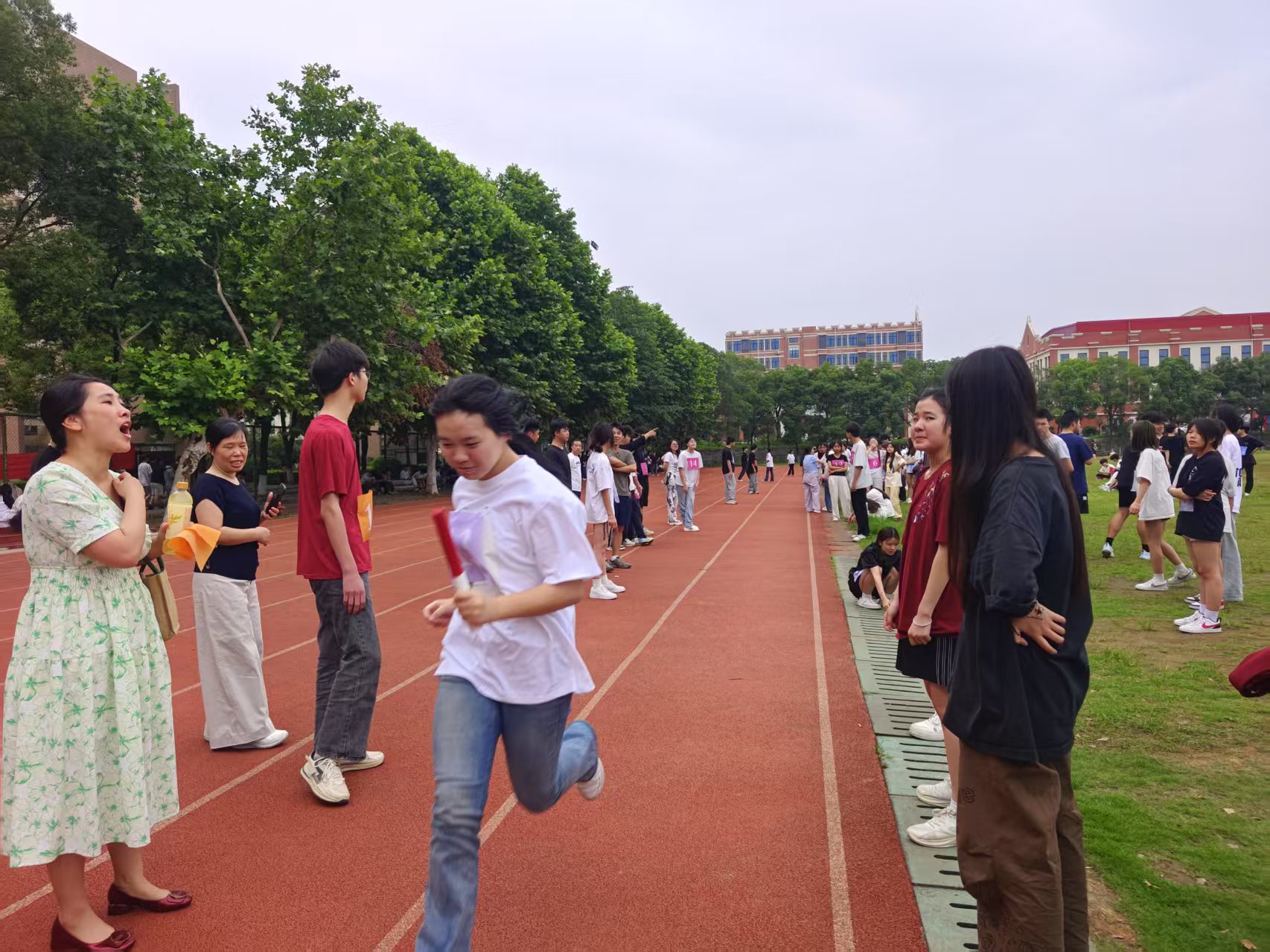 d43872312bcfdcc453bd2f6b01e43ed.jpg d43872312bcfdcc453bd2f6b01e43ed.jpg